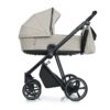Sesame-black-2.0.jpg Sesame Black .
