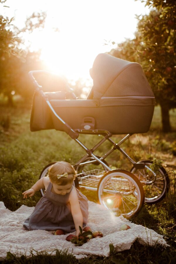 0O7A1586-scaled-1.jpg 0O7A1586 Scaled